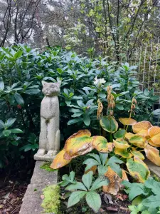 Tom 01 Herfst en Lente